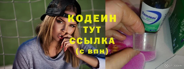 меф Арсеньев