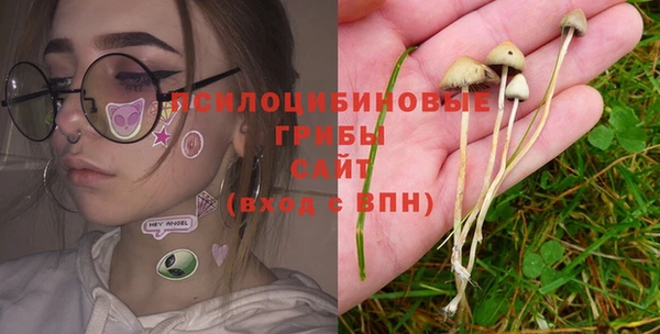 меф Арсеньев