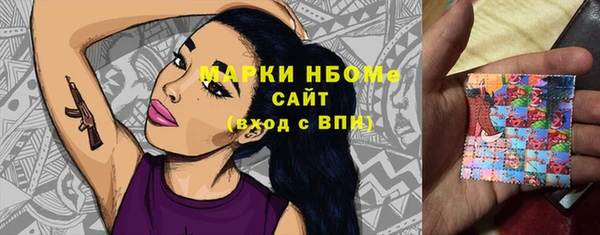 гашик Алексеевка